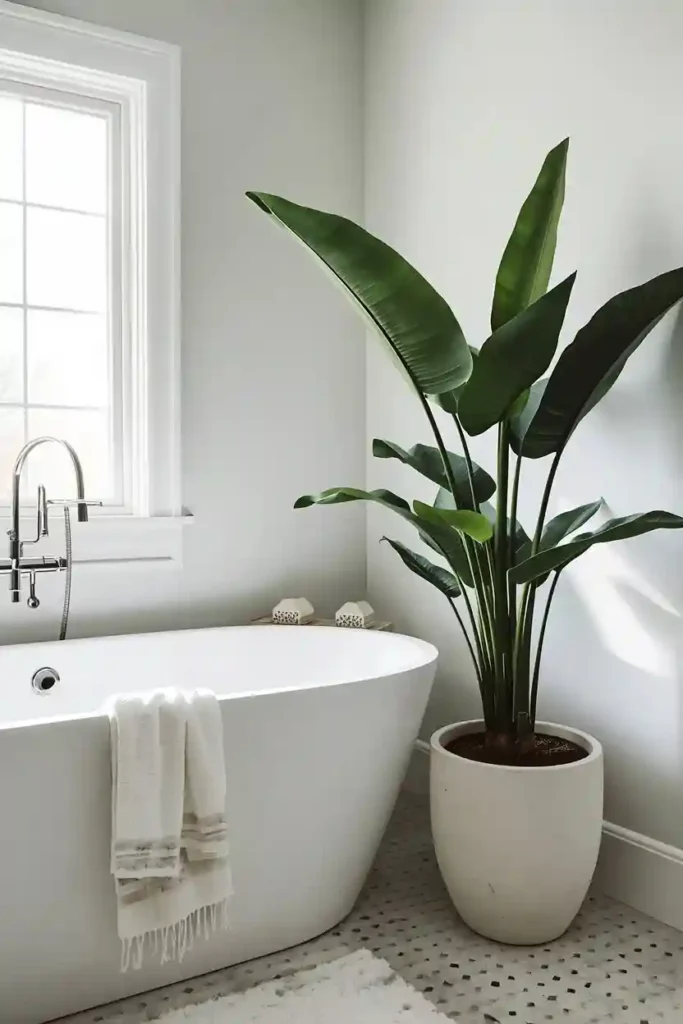 Monstera plant beside modern bathtub